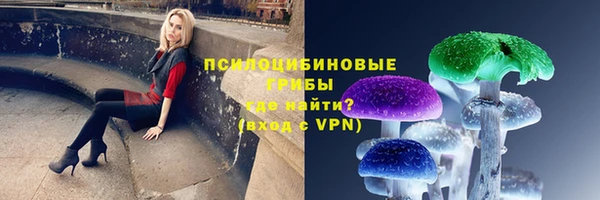 мяу мяу кристалл Вяземский