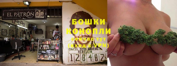 индика Вязники