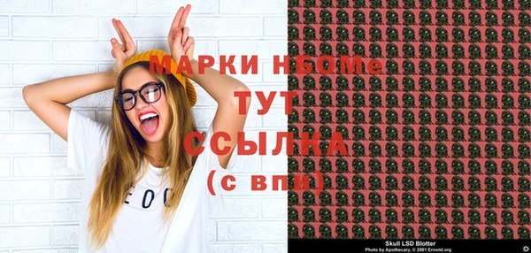 индика Вязники