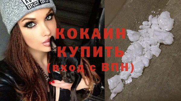 индика Вязники