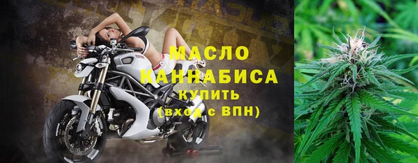 индика Вязники