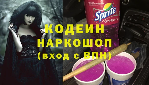 индика Вязники
