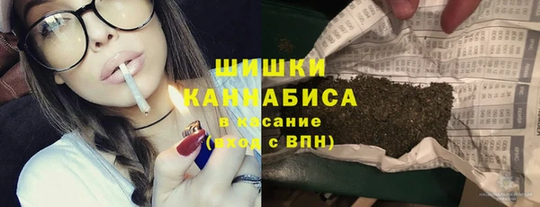 индика Вязники