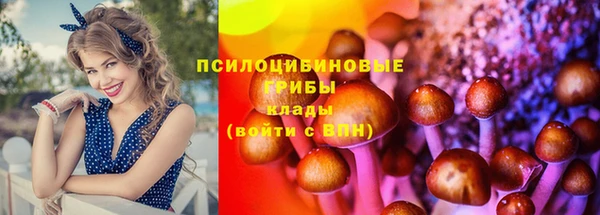 mdma Вязьма