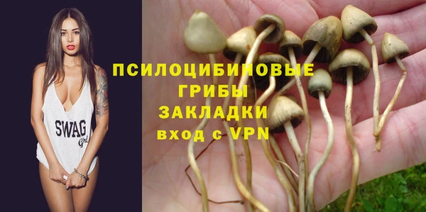 индика Вязники