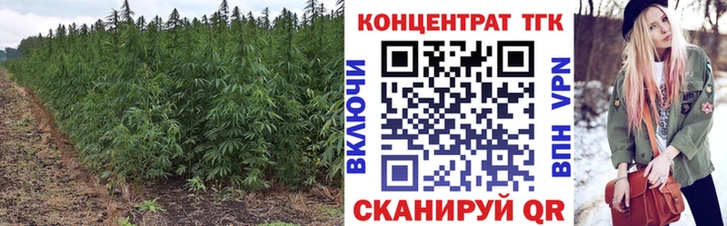 ТГК вейп с тгк купить закладку Покачи